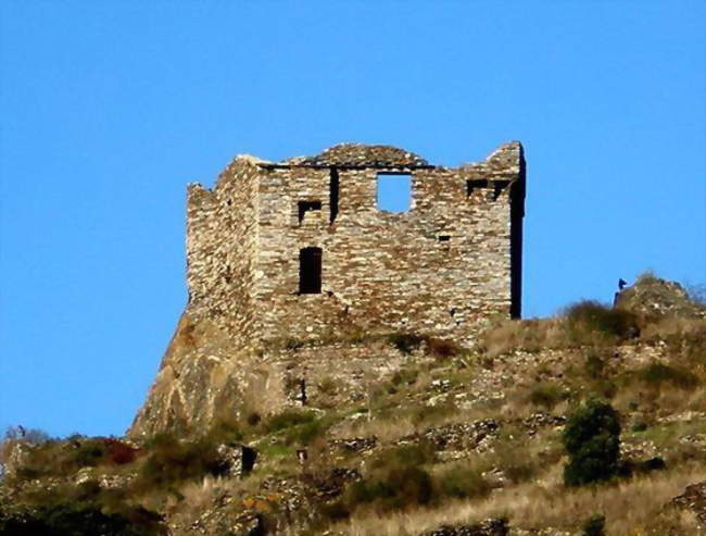 Château de Citou - Citou (11160) - Aude
