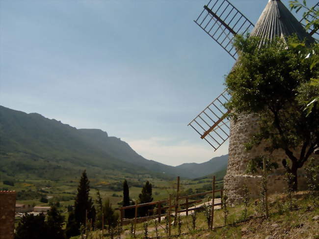 Le moulin surplombant le village et remis en exploitation en 2006 - Cucugnan (11350) - Aude