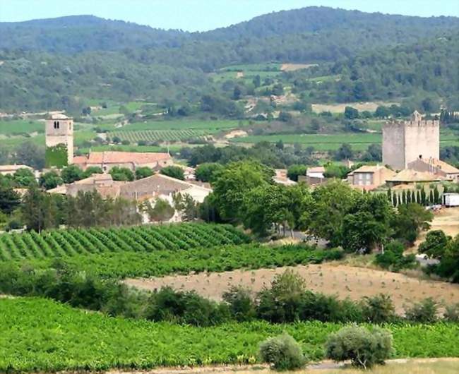 Ville de Fabrezan depuis la pinède - Fabrezan (11200) - Aude