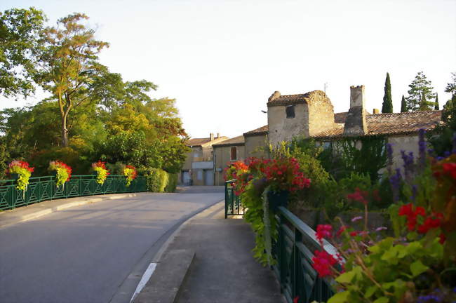 Vue du village de Leuc - Leuc (11250) - Aude