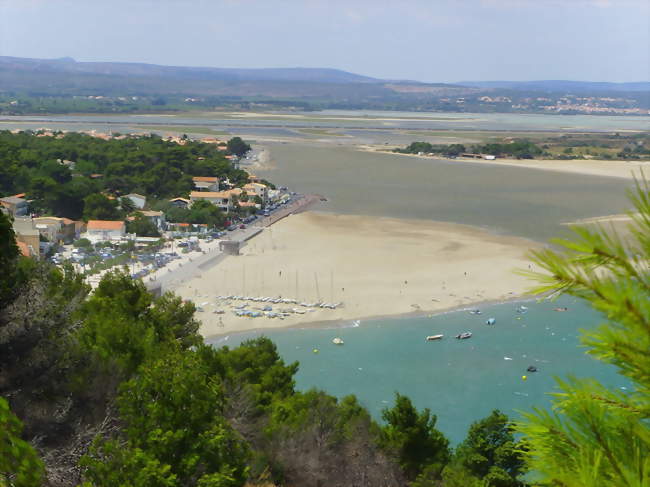 Moniteur / Monitrice de voile