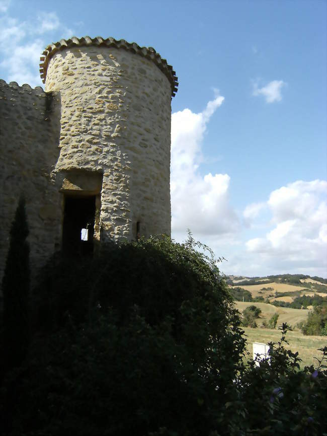 Peyrefitte-sur-l'Hers - Peyrefitte-sur-l'Hers (11420) - Aude