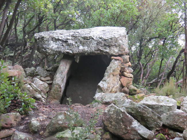 Dolmen de Trillol sur la commune de Rouffiac-des-Corbières - Rouffiac-des-Corbières (11350) - Aude