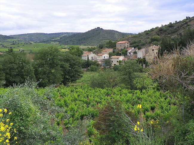 Villeneuve-les-Corbières au milieu de son vignoble - Villeneuve-les-Corbières (11360) - Aude