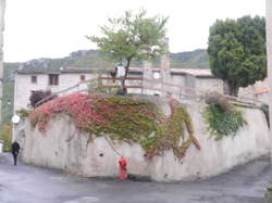 photo Cailla