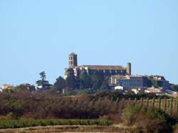 photo LES JEUDIS EN MALEPÈRE : DOMAINE LE FORT