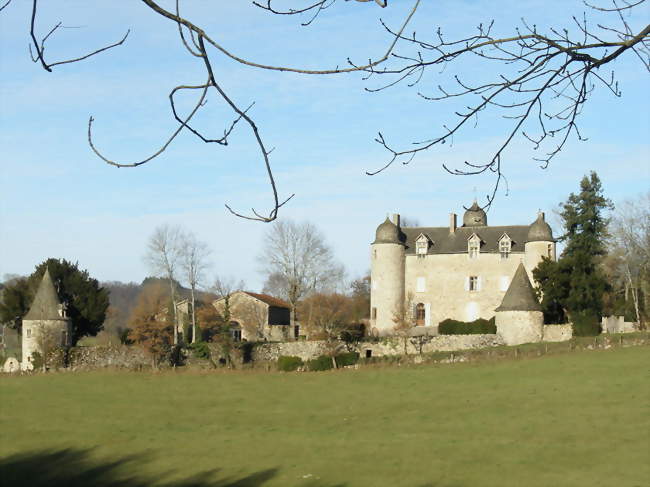 Le châteu de Réquista - La Bastide-l'Évêque (12200) - Aveyron