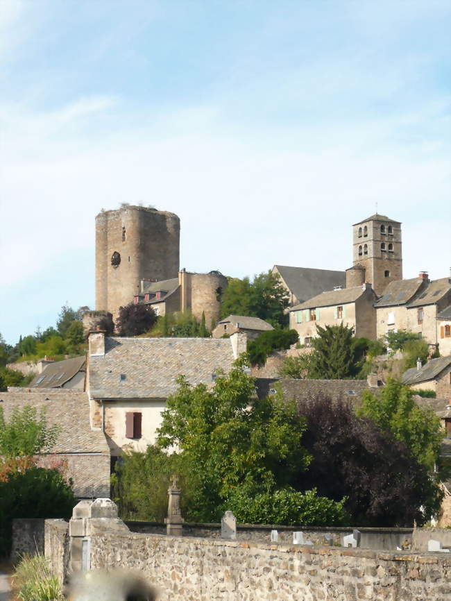 Monteur(se)-électricien(ne) réseaux distribution électrique