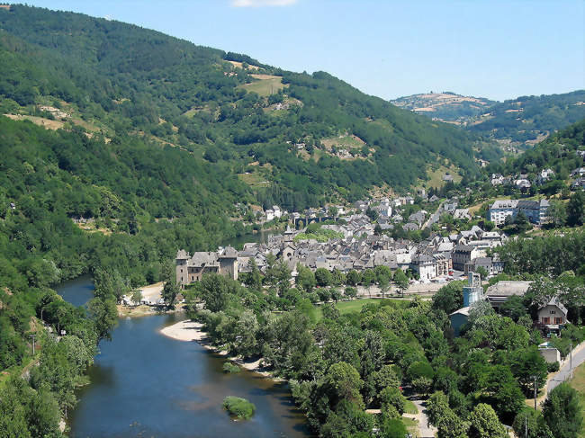 Vue d'ensemble avec la Truyère - Entraygues-sur-Truyère (12140) - Aveyron