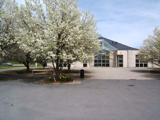 Auxiliaire de Vie Sociale -AVS-