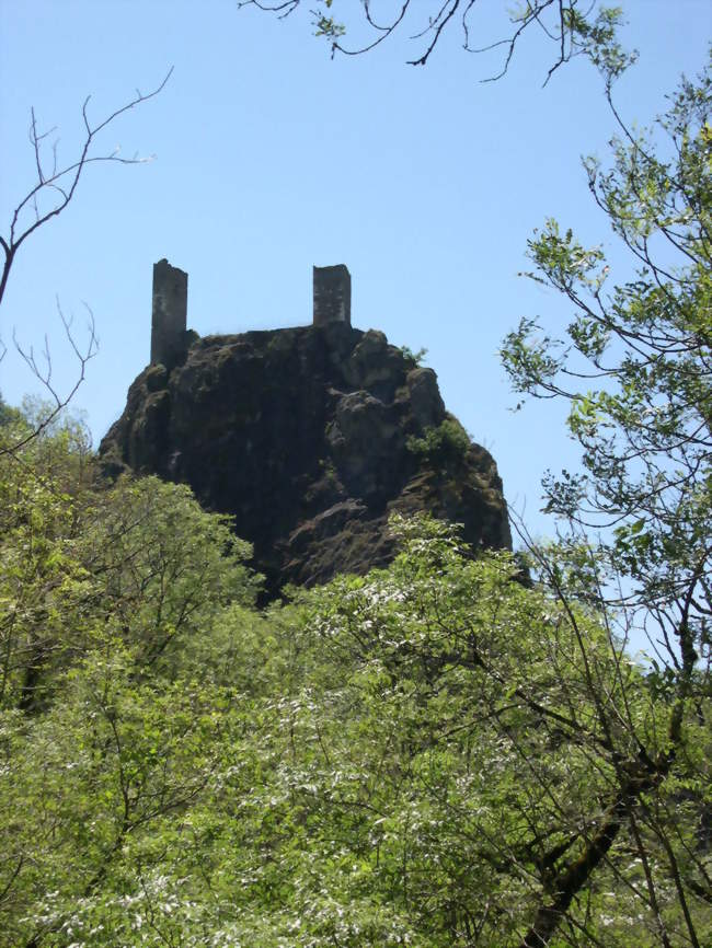 Les tours de Peyrusse-le-Roc - Peyrusse-le-Roc (12220) - Aveyron