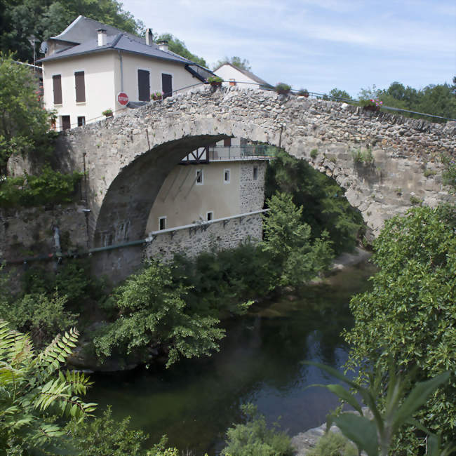 Pont roman sur la Dourbie (13°s) - Saint-Jean-du-Bruel (12230) - Aveyron