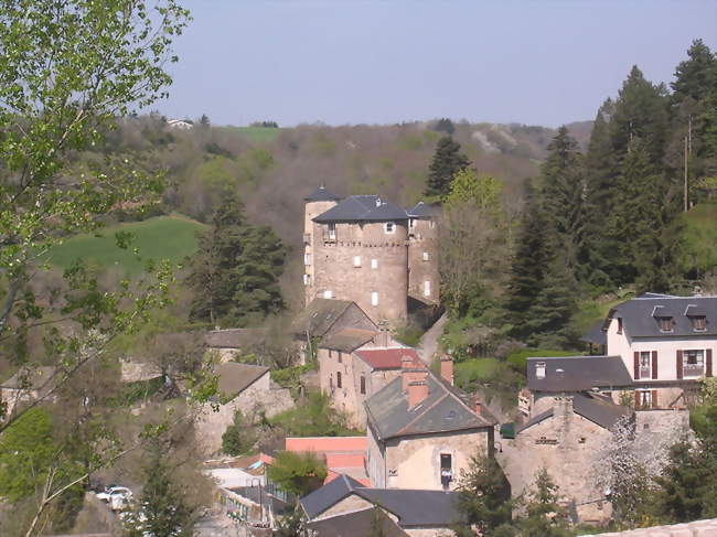 Le château - Saint-Léons (12780) - Aveyron