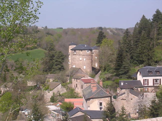 Ouvrier / Ouvrière de scierie