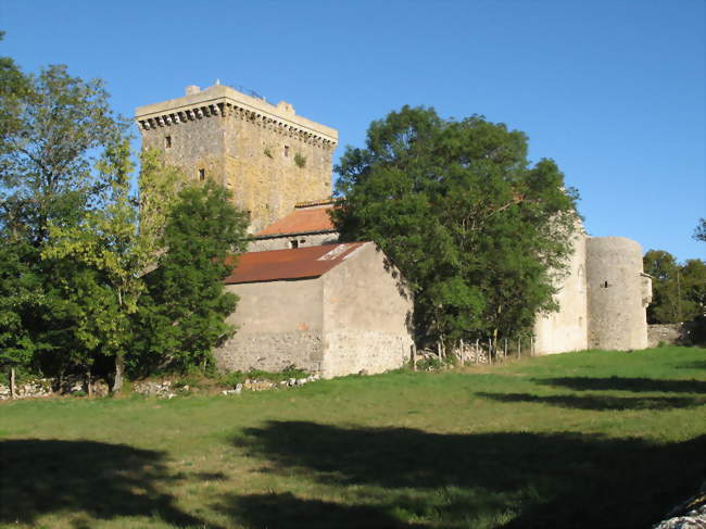 Tour du Viala-du-Pas-de-Jaux - Viala-du-Pas-de-Jaux (12250) - Aveyron