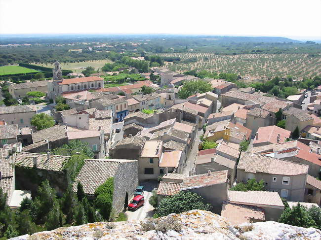 Les rendez-vous du Parc des Alpilles - Les plantes aromatiques