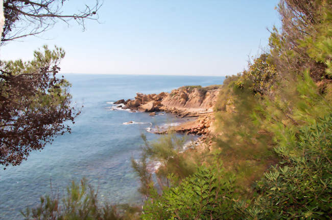 Snorkeling au coeur du Parc Marin