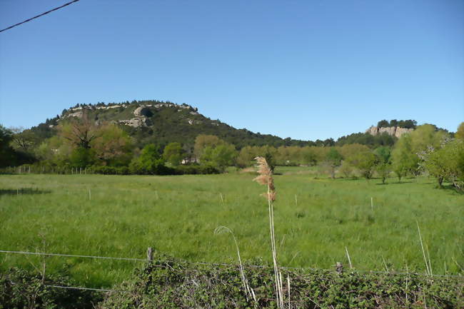 Paysage à Lamanon - Lamanon (13113) - Bouches-du-Rhône