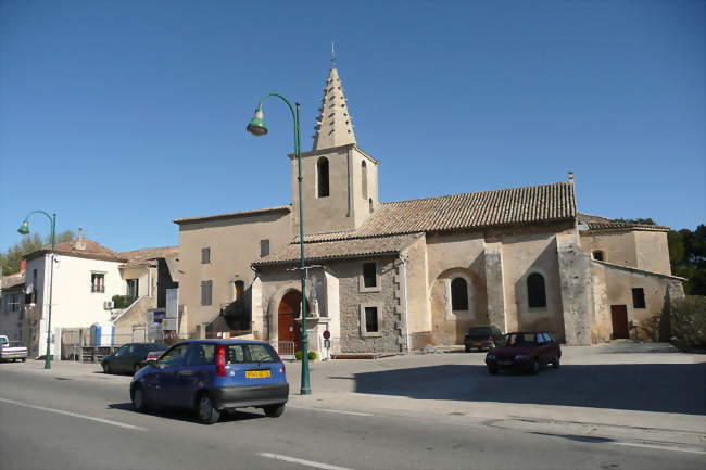 Balade herborisation : La Flore des Alpilles