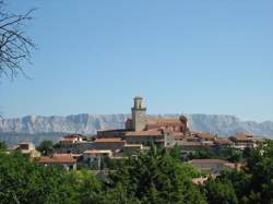 photo Le Bleuet de France