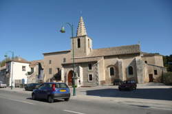 photo Balade herborisation : La Flore des Alpilles