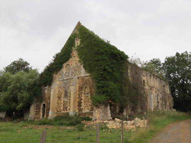 Ruine de l'abbaye Notre-Dame - Barbery (14220) - Calvados