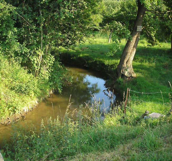 Le Laizon au Vey d'Ifs - Condé-sur-Ifs (14270) - Calvados