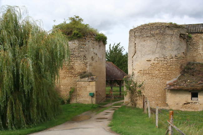 Vestiges du château de Courcy - Courcy (14170) - Calvados