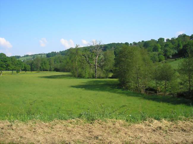 Bords de la Druance - Lénault (14770) - Calvados