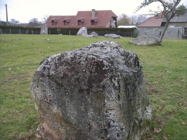 Les menhirs de la Plumaudière - Montchauvet (14350) - Calvados