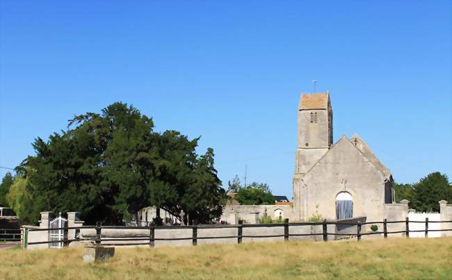 Église Saint-Vaast et if centenaire - Poussy-la-Campagne (14540) - Calvados