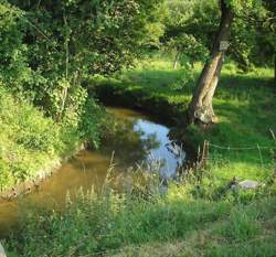 photo Condé-sur-Ifs