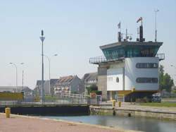 photo Les oiseaux des ports