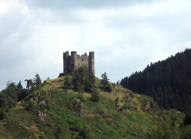 Le château d'Alleuze - Alleuze (15100) - Cantal