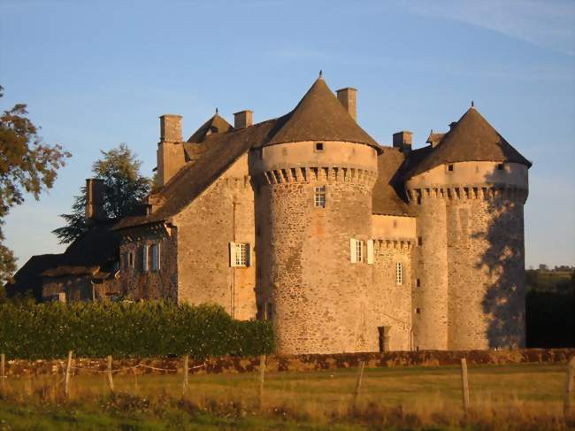 Château de La Vigne - Ally (15700) - Cantal