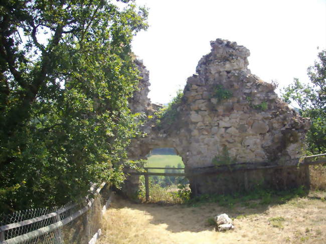 Ruines du château de Thynières sur la commune de Beaulieu - Beaulieu (15270) - Cantal