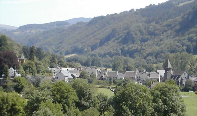 Vue générale de Fontanges - Fontanges (15140) - Cantal