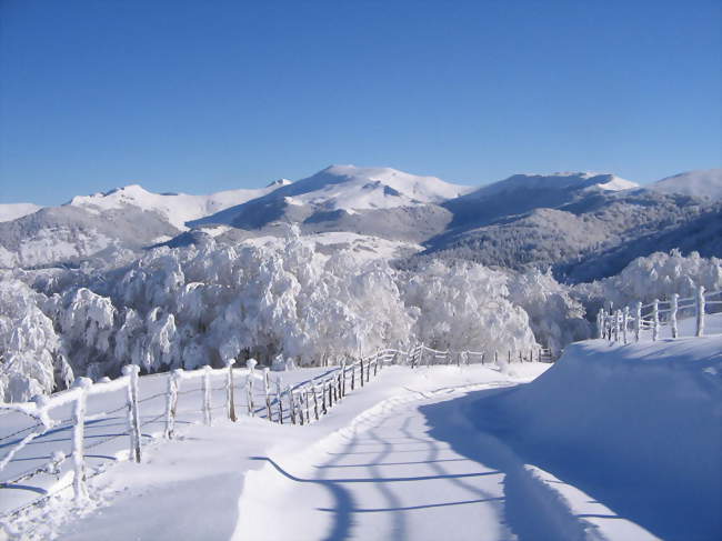 Col de legal sur la commune de Girgols - Girgols (15310) - Cantal