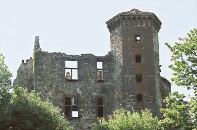 Chateau de Branzac à Pleaux - Pleaux (15700) - Cantal