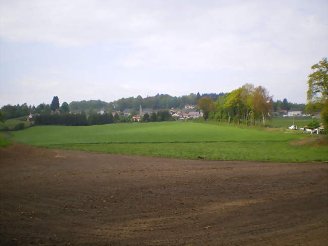 Vue générale de Roumégoux - Roumégoux (15290) - Cantal