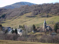 Garçon / Serveuse de restaurant