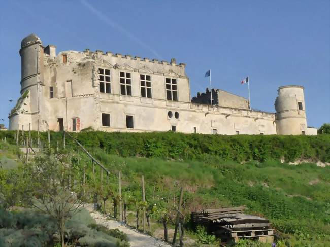 Château de Bouteville - Bouteville (16120) - Charente