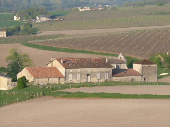 Le bourg au milieu des vignes - Nonaville (16120) - Charente