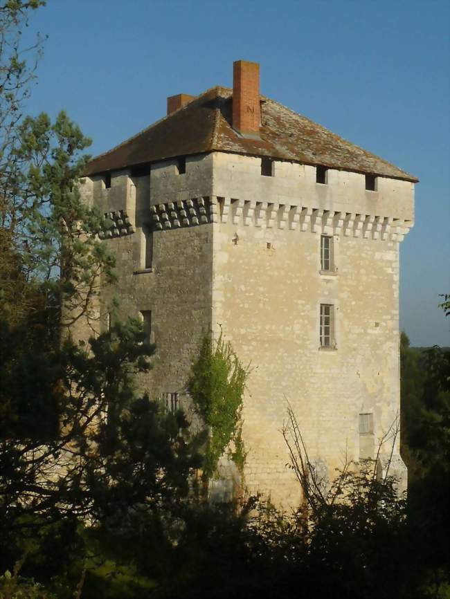 Le château des Pins - Les Pins (16260) - Charente