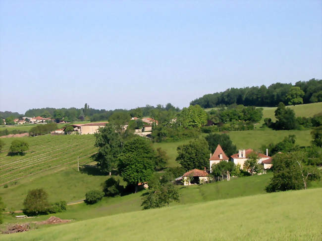 Les collines du Montmorélien à Saint-Laurent-des-Combes - Saint-Laurent-des-Combes (16480) - Charente
