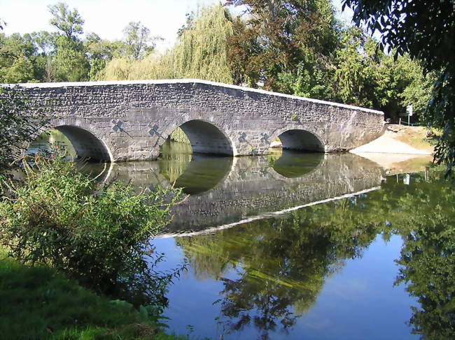 Pont coudé - Vibrac (16120) - Charente