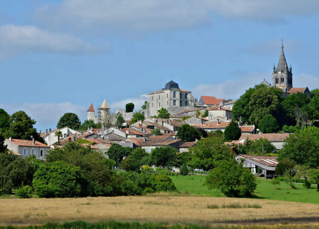 Visite guidée du château de Villebois-Lavalette