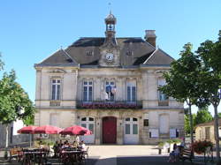 photo Fête de l'arbre et de la nature 