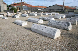 photo Randonnée et repas brin d'aillet