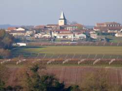 photo Le marché de Pays de Saint-Genis d'Hiersac